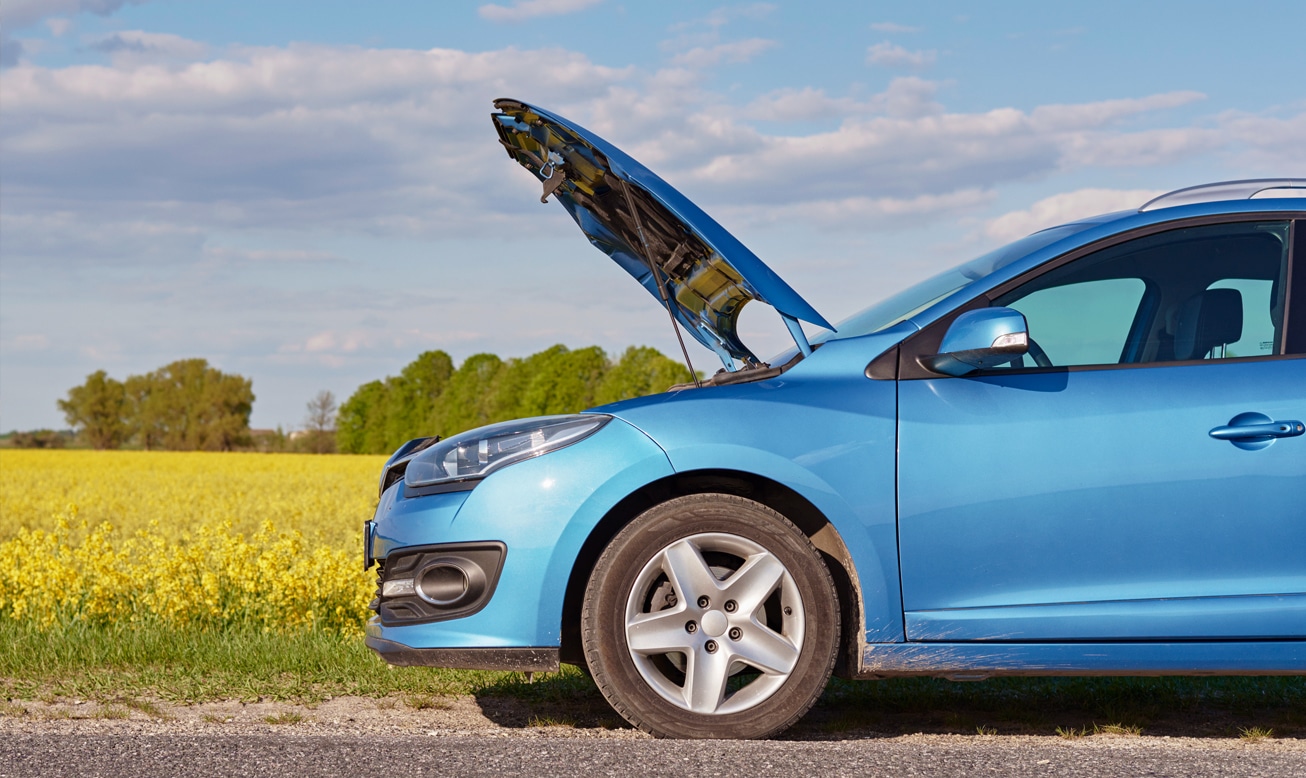 Navigating New Zealand’s Vehicle Inspection Process